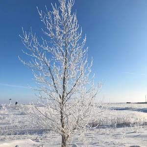 Meet your Posher, Ver-reg